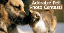 Pet Photo Contest for a Chance to Win a Smoky Mountain Vacation Getaway