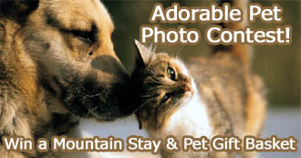 Email your favorite pet photo and receive a chance to win a mountain getaway!
